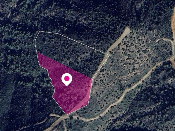 (Share) Field in Lythrodontas, Nicosia – id S44881