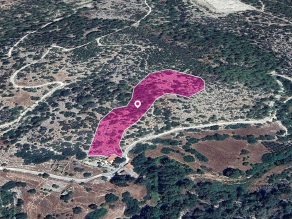 Field in Pano Archimandrita, Paphos – id S44596