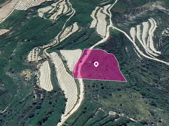Agricultural Field in Koili, Paphos – id S44566