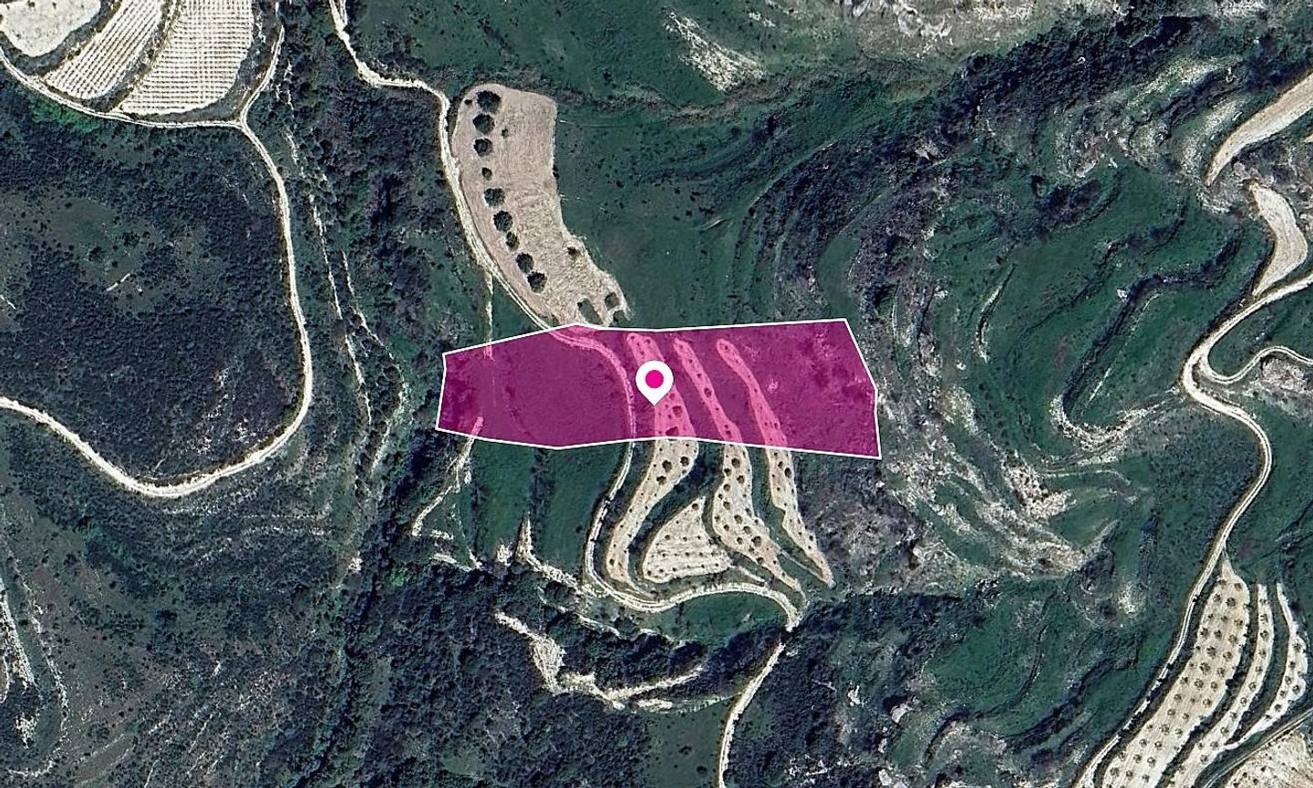 Animal Breeding Zoned Field in Stroumpi, Paphos – id S44437
