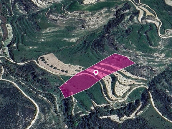 Animal Breeding Zoned Field in Stroumpi, Paphos – id S44437