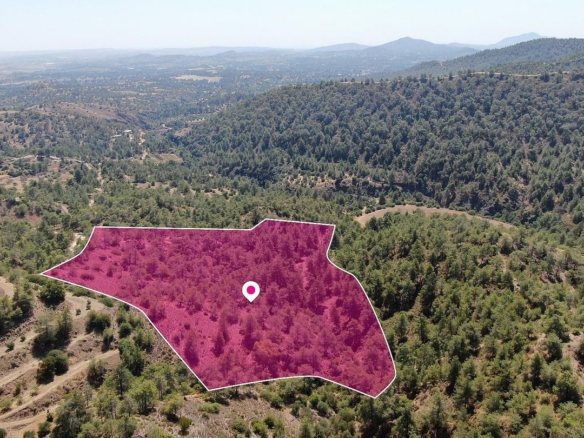 Agricultural field in Kapedes, Nicosia – id S45453