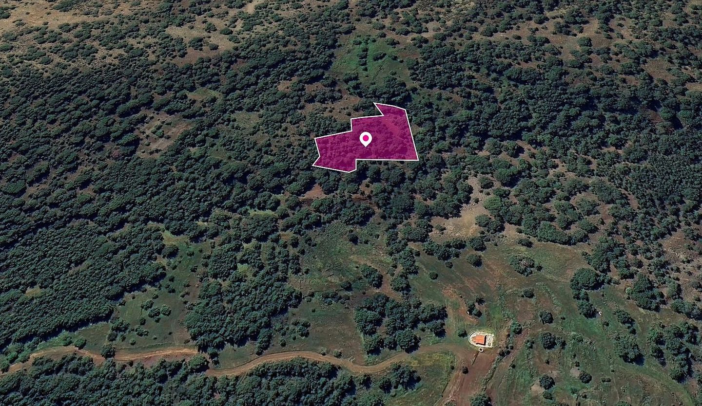 FIeld in Pomos, Paphos – id S44876