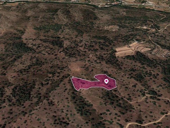 Field in Gourri, Nicosia – id S20363