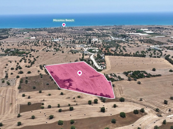 Agricultural field in Mazotos, Larnaca – id S852