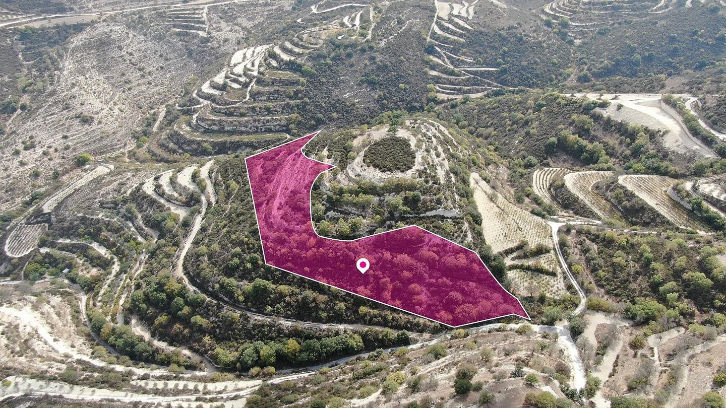 Agricultural field in Koili, Paphos – id S44961