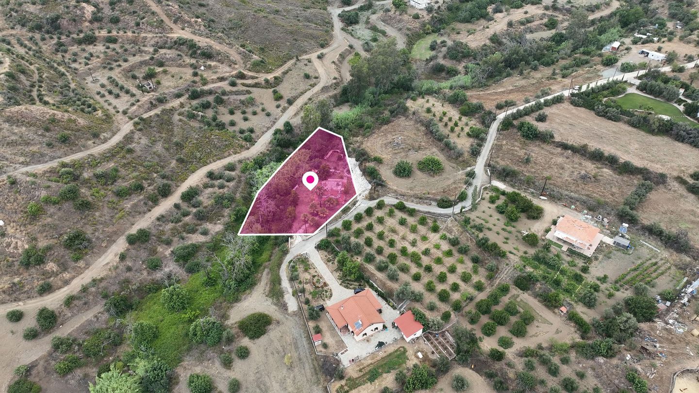 Field in Ora, Larnaca – id S8121