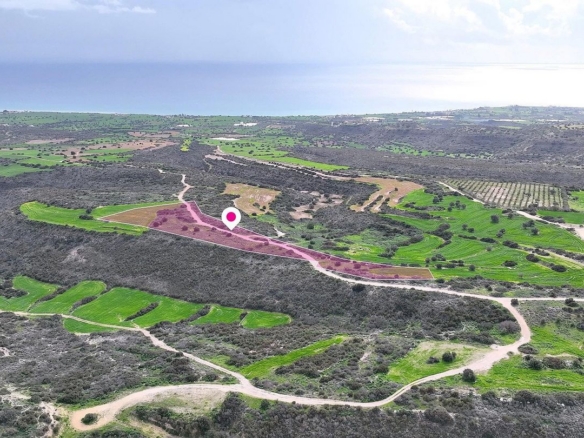 Agricultural field in Agios Theodoros, Larnaca – id S46006