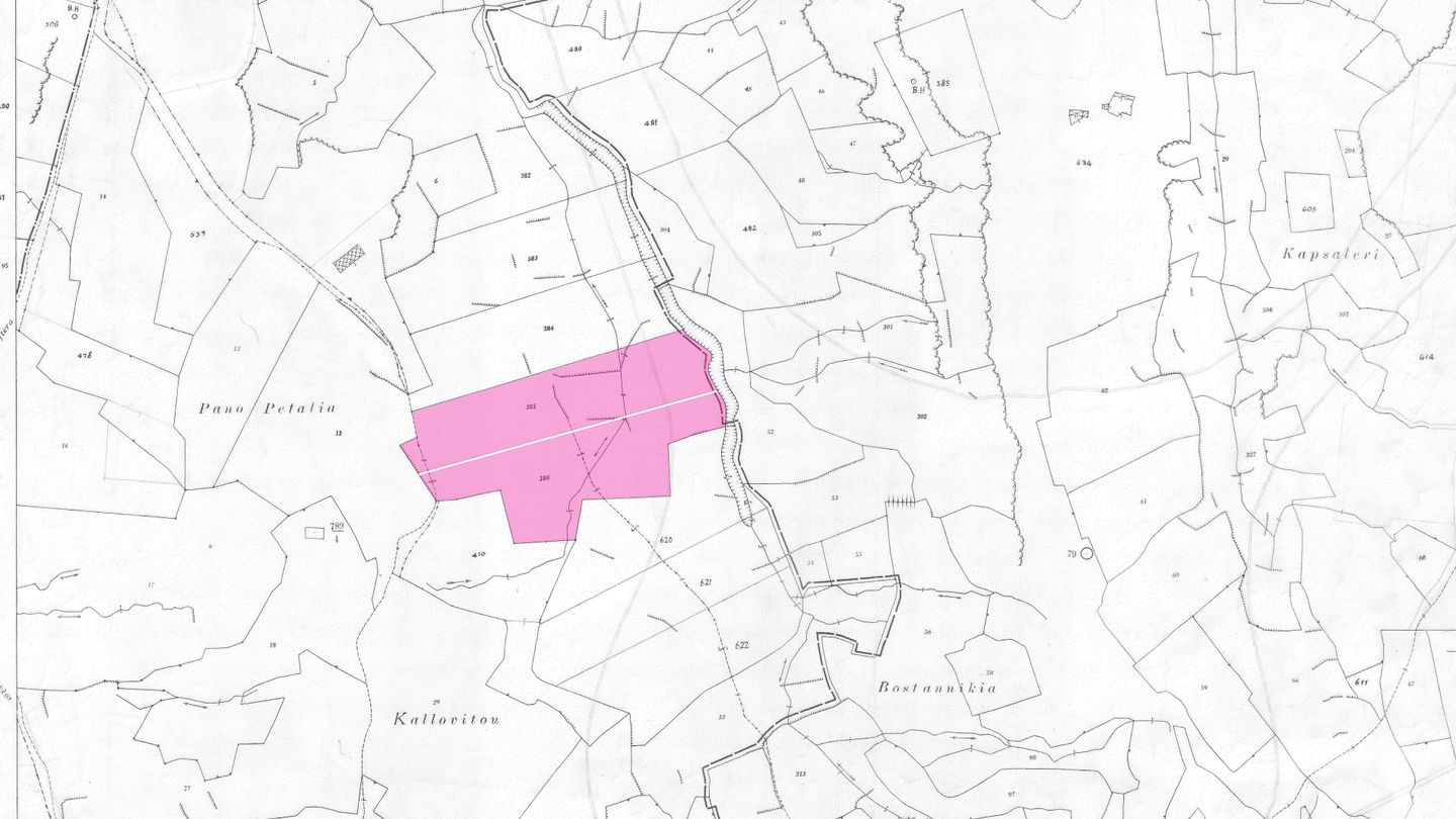 Two adjacent agricultural fields in Pano Deftera, Nicosia – id S46082