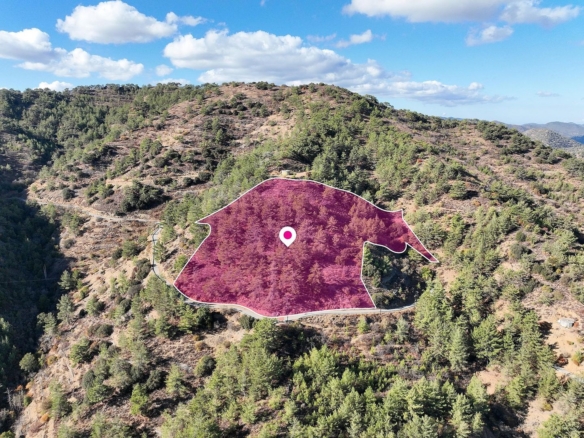 Agricultural Field in Gerakies, Nicosia – id S31298