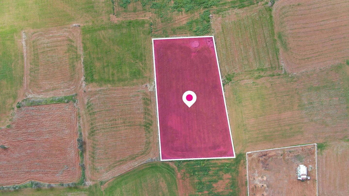 Industrial Field in Palaiometocho, Nicosia – id S5872