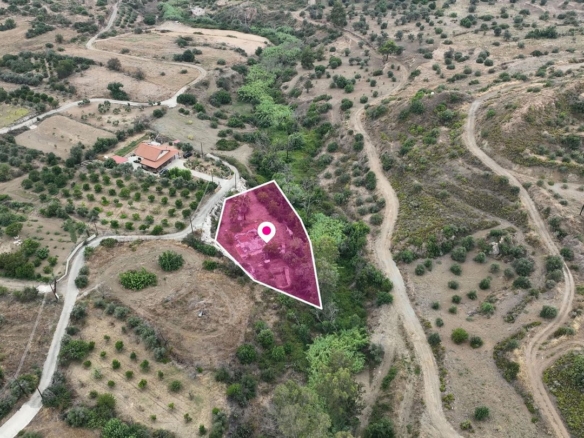 Field in Ora, Larnaca – id S8121
