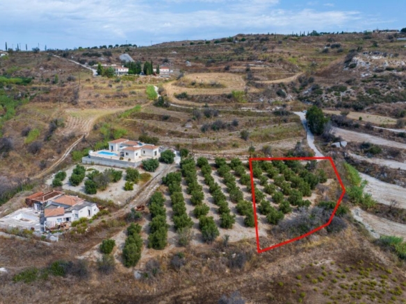 Agricultural field in Polemi, Paphos – id R9626