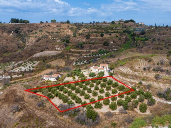 Agricultural field in Polemi, Paphos – id R9730