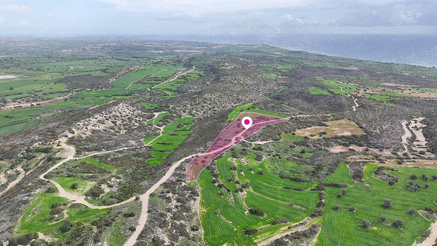 Agricultural field in Agios Theodoros, Larnaca – id S46006