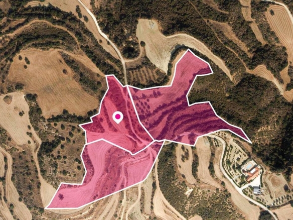 Agricultural Fields in Skoulli, Paphos – id S30891