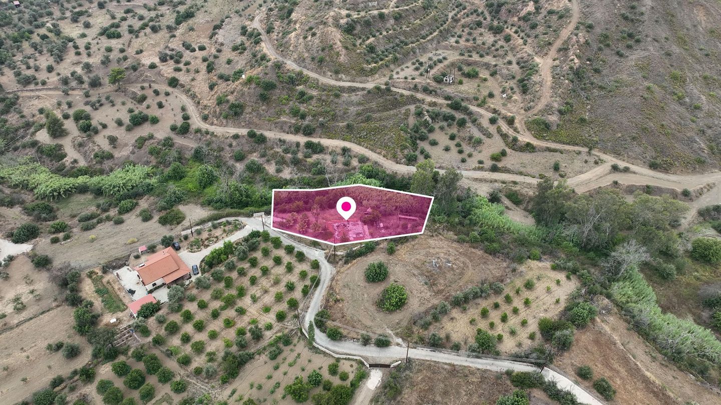 Field in Ora, Larnaca – id S8121